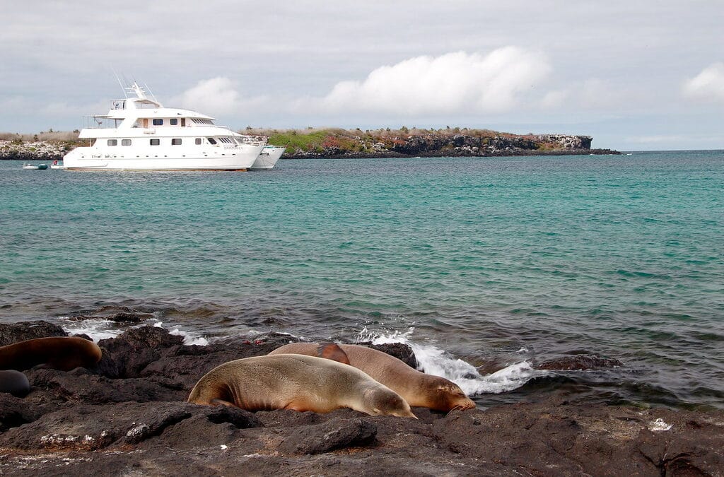 Experience the Galapagos on the luxury yacht M/Y Integrity