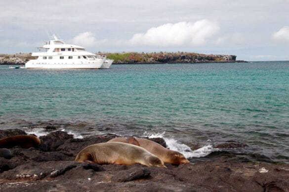 Galapagos Island Cruise-Flickr