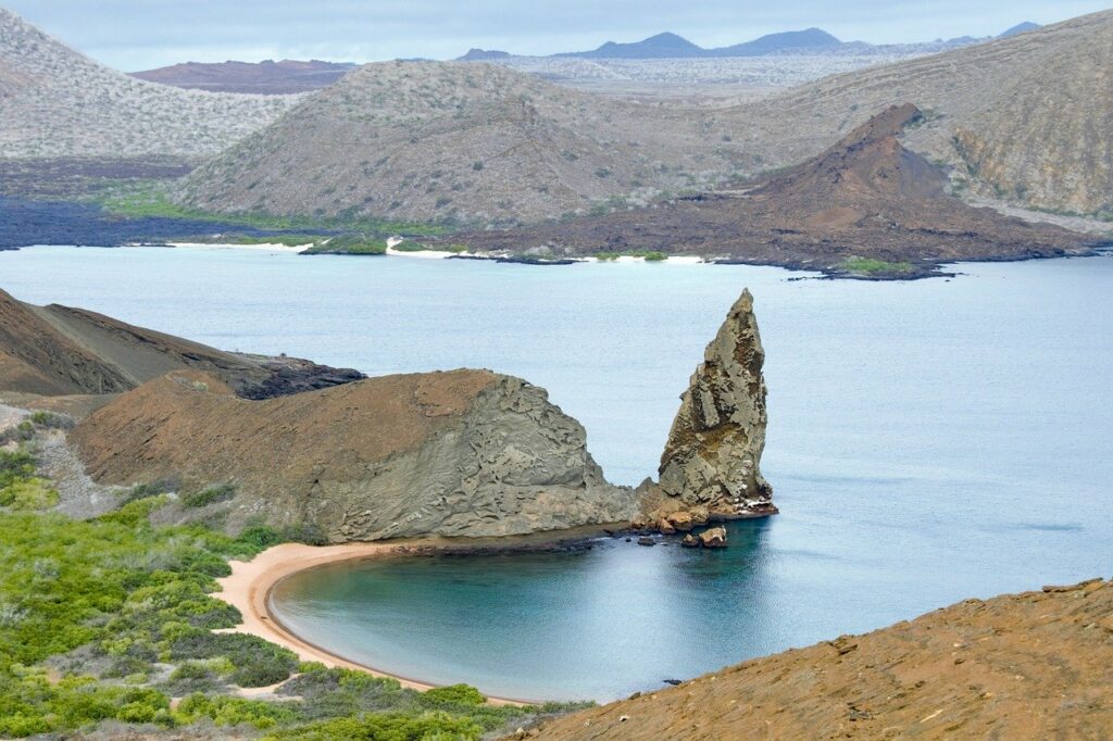 The Galapagos Islands